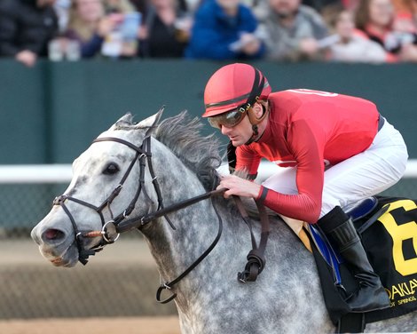 Roll On Big Joe Carries Momentum Into King Cotton