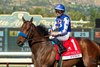 Nysos and jockey Flavien Prat, right, battle Nevada Beach and Juan Hernandez, left, and go on to win the Grade II $200,000 Laffit Pincay Jr. Stakes Sunday, December 28, 2025, opening day of the Santa Anita Park  meet.
Benoit Photo