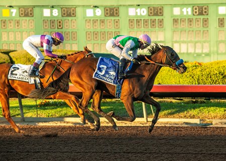 Consequent defeats Cashed to win the Starlet Stakes at Los Alamitos Race Course