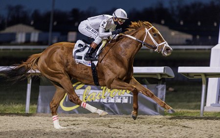 Caitlinhergrtness wins the My Charmer Stakes at Turfway Park