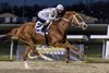 Caitlinhergrtness wins the 2025 My Charmer Stakes at Turfway Park