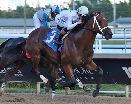 Tappan Street wins an allowance optional claiming race at Gulfstream Park