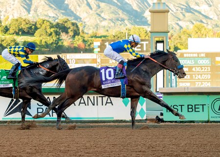 Goal Oriented becomes the 11th grade 1 winner for sire Not This Time in winning the Malibu Stakes at Santa Anita Park