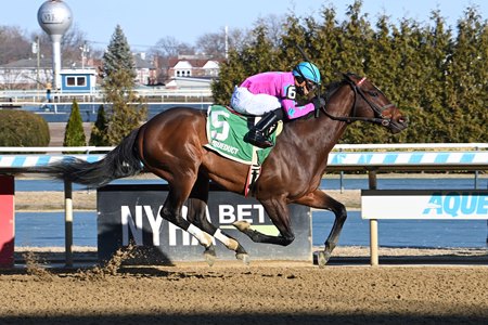 Just Beat the Odds wins an allowance race at Aqueduct Racetrack