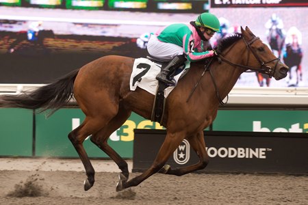Dunmore Beach wins a maiden special weight at Woodbine