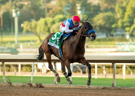 Nafisa wins the La Canada Stakes at Santa Anita Park