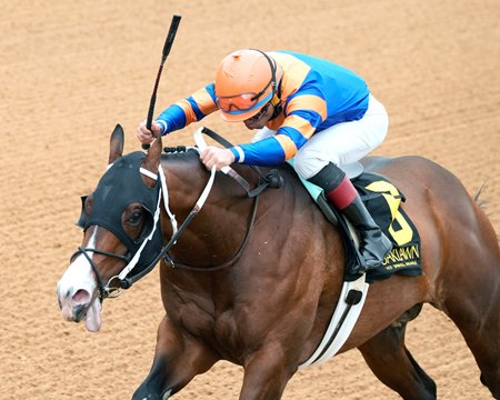 Obliteration, headed to the Saudi Derby, wins the Renaissance Stakes at Oaklawn Park