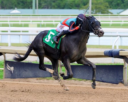 Lightning Tones wins the Sunshine Classic Stakes at Gulfstream Park