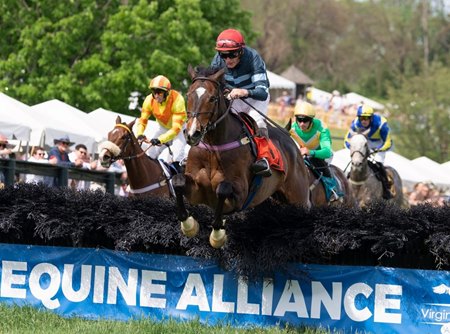 Cool Jet wins the 2025 Commonwealth Cup Stakes at Great Meadow