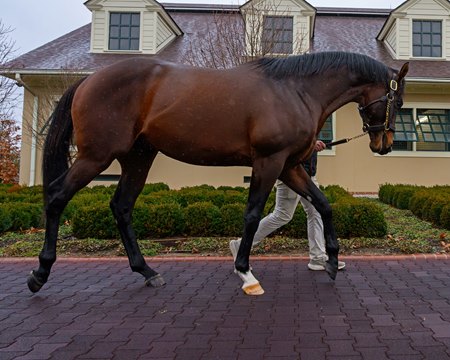 Raging Torrent at Lane's End