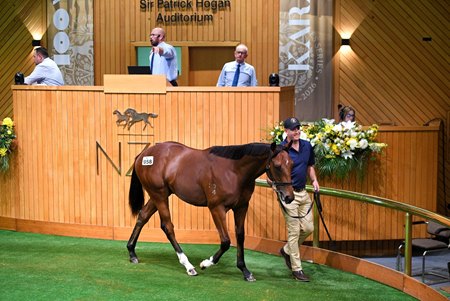 The session-topping Armory colt consigned as Lot 958 in the ring at the NZB Karaka Summer Sale