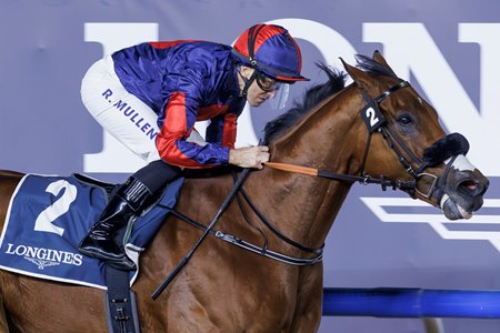 Imperial Emperor wins the Al Maktoum Challenge at Meydan Racecourse