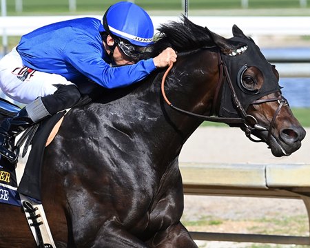 Knightsbridge wins the Fred W. Hooper Stakes at Gulfstream Park