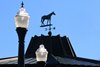 Scenics, 2026 Keeneland January Sale