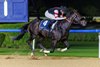 Six Speed wins the 2026 UAE 2000 Guineas at Meydan Racecourse