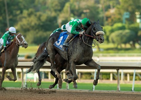 Start the Ride wins the California Chrome Cal Cup Derby at Santa Anita Park
