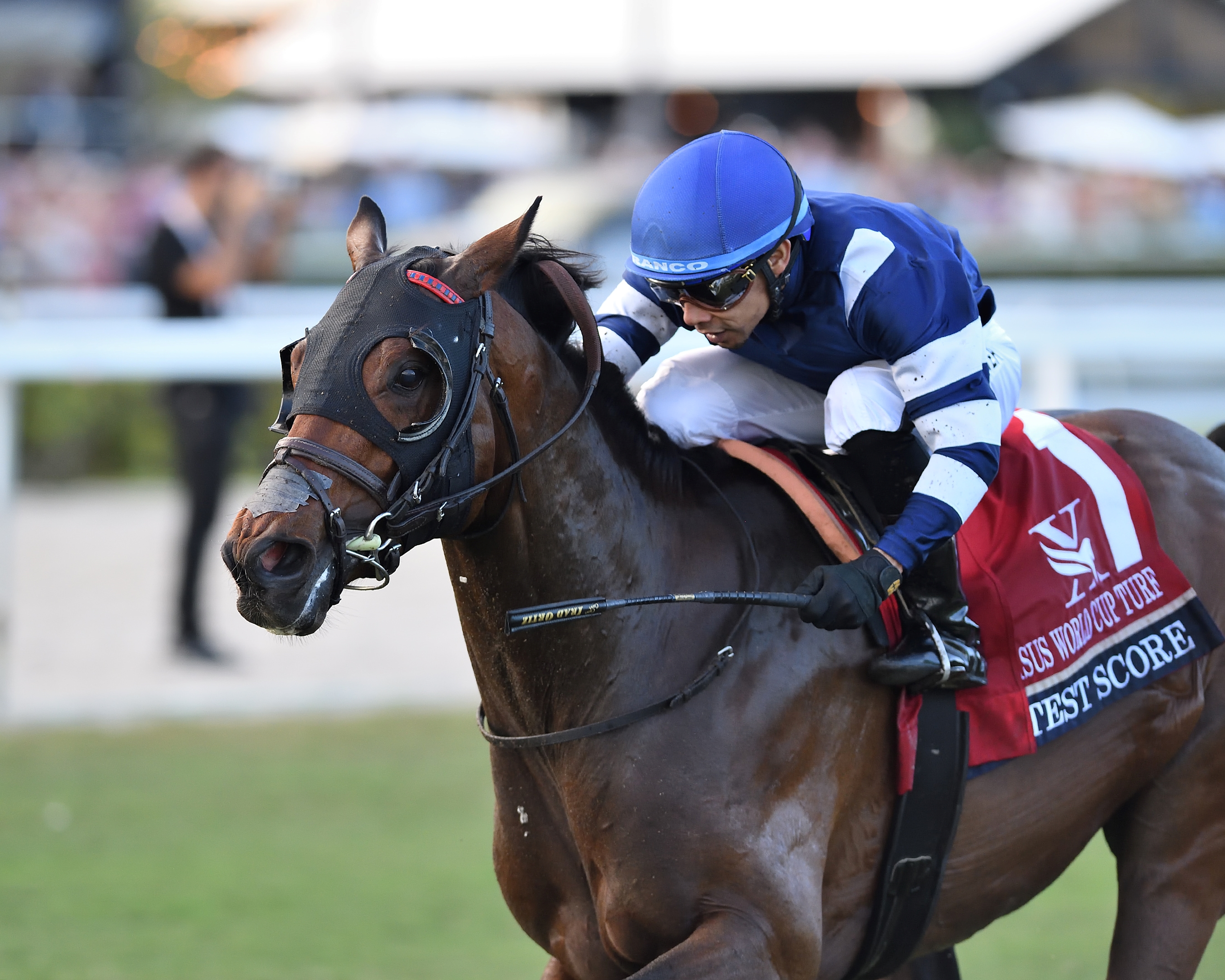Churchill's Wide-Open Turf Classic Stakes Draws 10 - BloodHorse