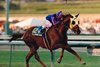My Sonny Boy wins the 1990 California Cup Classic Handicap at Santa Anita Park, Jorge Velasquez up