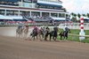 Skippylongstocking wins the 2026 Pegasus World Cup Invitational Stakes at Gulfstream Park
Coglianese Photos/Jeff Zamaiko