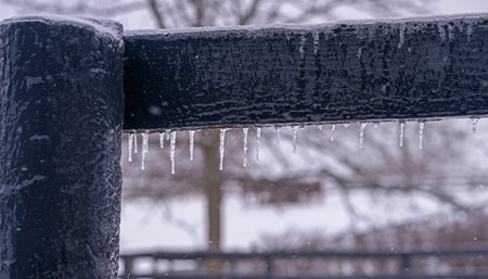 Ice coats fencing at a Central Kentucky horse farm Jan. 26