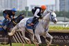 White Abarrio breezes four furlongs in 51.86 on Sunday, January 18, 2026 at Gulfstream Park