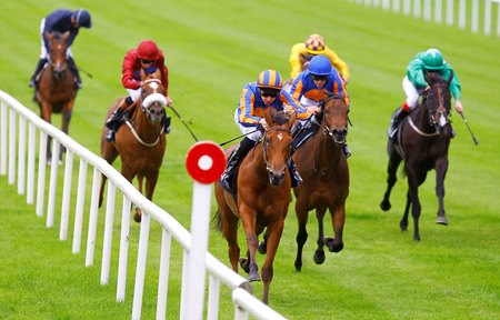 Maybe wins the 2011 Moyglare Stud Stakes at The Curragh