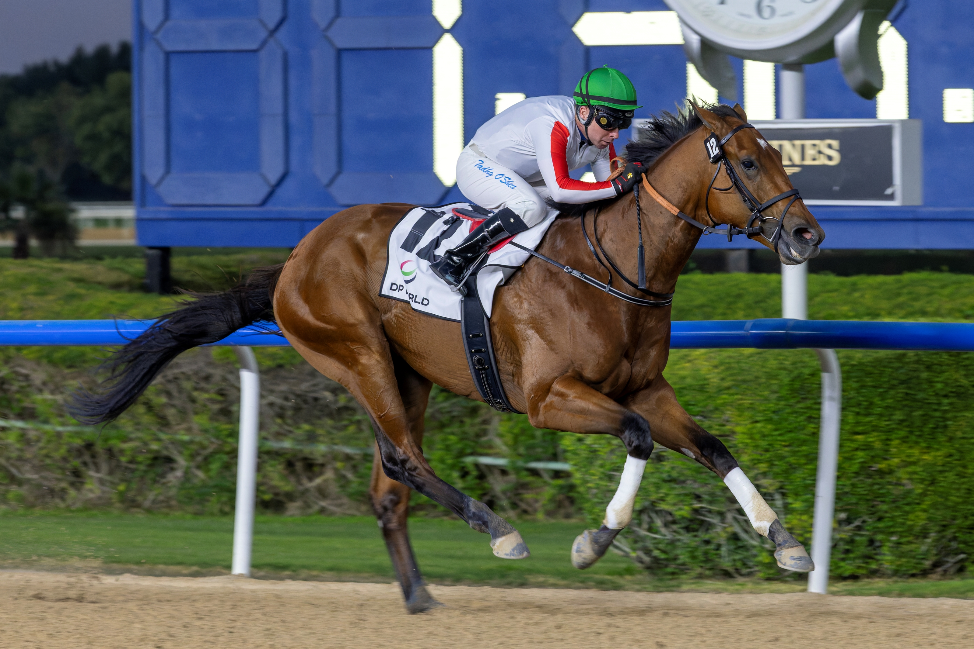 Salloom wins a maiden race at Meydan Racecourse