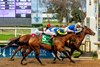 1-17-26 Taken By The Wind, with Brian Hernandez, Jr. aboard, wins the 34th running of the $150,000 Silverbulletday Stakes race at Fair Grounds Racecourse in New Orleans, LA. Hodges Photography/Lou Hodges Jr. 