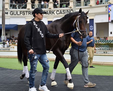 Disco Time at Gulfstream Park