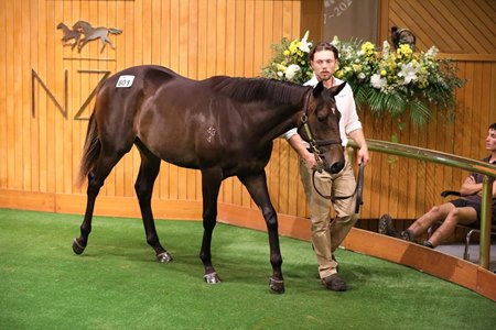The Embellish filly, cataloged as Lot 601, in the ring