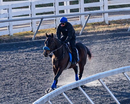 Sovereignty exercising in December on the Keeneland training track