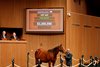Hip 465, 2026 Keeneland January Sale