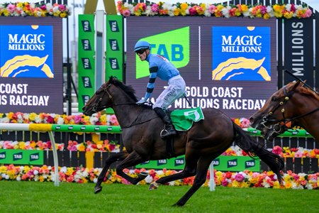 Unit Five wins the Magic Millions 2YO Classic at the Gold Coast