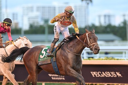 Skippylongstocking wins the Pegasus World Cup Invitational Stakes at Gulfstream Park