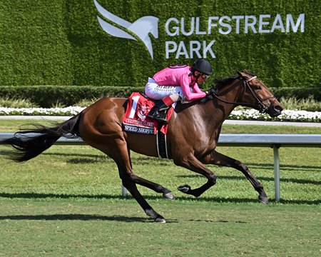 Speed Shopper wins the Christophe Clement Stakes at Gulfstream Park