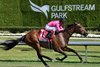Speed Shopper wins the 2026 Christophe Clement Stakes at Gulfstream Park
Coglianese Photos