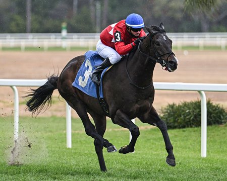 Quatrocento wins the Tampa Bay Stakes at Tampa Bay Downs