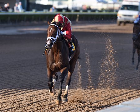 Nearly draws clear in an allowance optional claiming race at Gulfstream Park