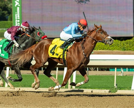 Original One breaks his maiden at Santa Anita Park