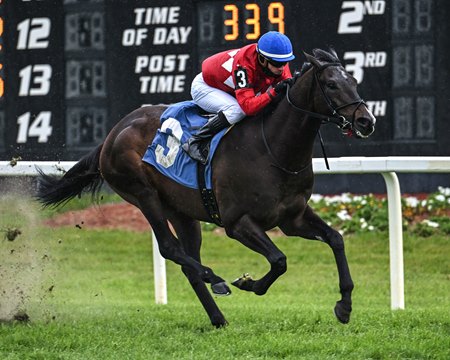 Quatrocento pulls away in the Tampa Bay Stakes at Tampa Bay Downs