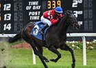 Quatrocento wins the 2026 Tampa Bay Stakes at Tampa Bay Downs