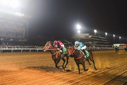 Forever Young (outside) outbattles Romantic Warrior to land the 2025 Saudi Cup at King Abdulaziz Racecourse