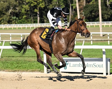 Drexel Hill wins the Wayward Lass Stakes at Tampa Bay Downs