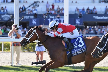 Destino d'Oro wins the Pegasus World Cup Filly and Mare Turf Invitational Stakes at Gulfstream Park