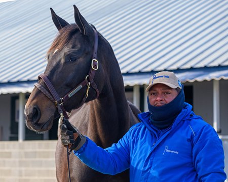 Legacy Defined, consigned as Hip 783, by Paramount Sales, agent