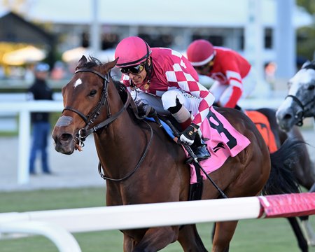 Two-time stakes winner Alpyland will aim for his first graded stakes Friday in the Penn Mile