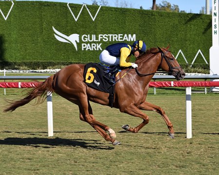 Sister Troienne and regular rider Mario Gutierrez win the Ginger Brew Stakes at Gulfstream Park