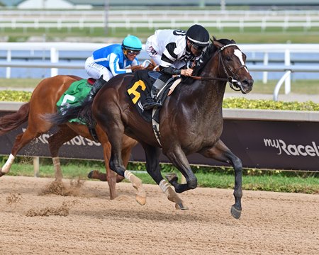 Chief Wallabee wins a maiden race on debut at Gulfstream Park