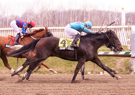 Quint's Brew gets up by a nose to repeat in the Jennings Stakes at Laurel Park