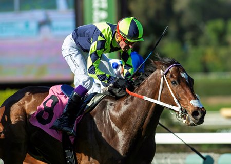 Vodka Vodka wins the Unusual Heat Turf Classic Stakes at Santa Anita Park